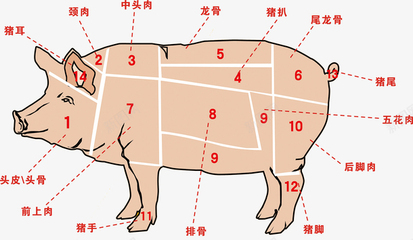 农业畜牧业农家土猪肉分割种类解高清素材 .